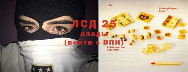 сатива Алзамай