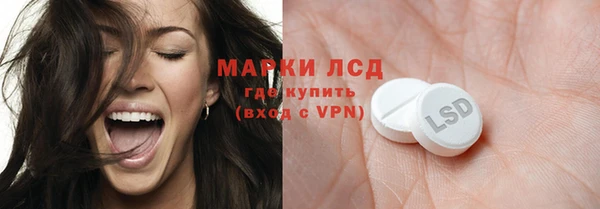 сатива Алзамай