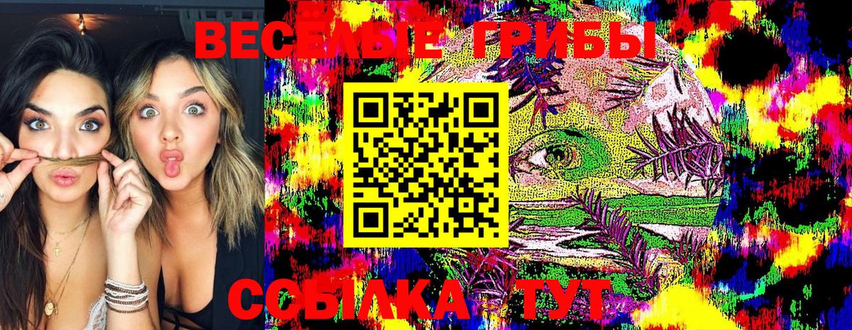 Псилоцибиновые грибы Psilocybe Прохладный